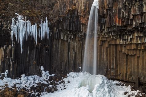 Svartifoss in Winter | Waterfalls | Iceland | Europe | Synnatschke Photography