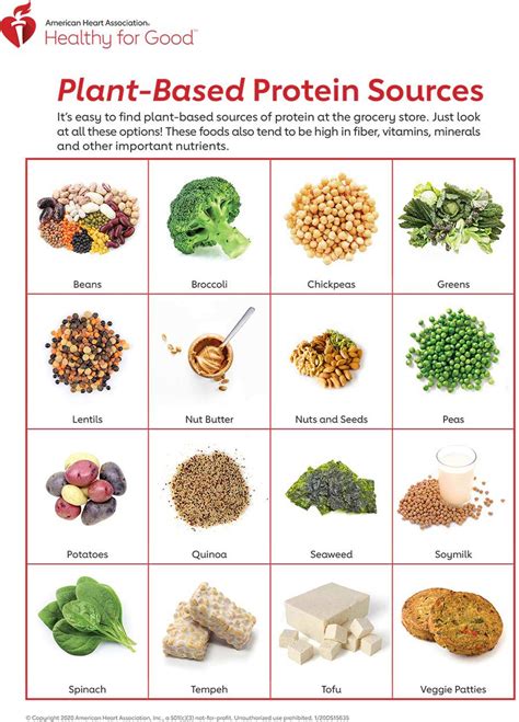 Plant-Based Protein Infographic | American Heart Association