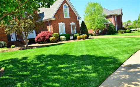 Keep Your Lawn Green All Summer | Outlook Home Inspections