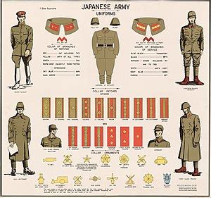 Stopnie Cesarskiej Armii Japońskiej - Ranks of the Imperial Japanese Army - xcv.wiki