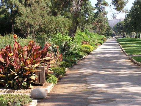 Jerusalem University Botanic Gardens | Israel Inside Out