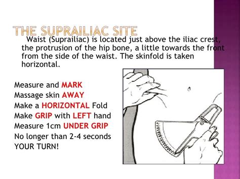 Anthropometric tests body fat session 4