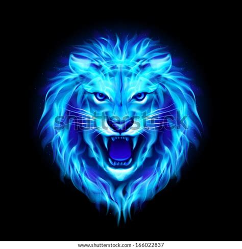 Head Aggressive Blue Fire Lion Isolated Stock Vector (Royalty Free) 166022837 | Shutterstock