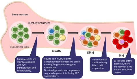 Precision medicine in multiple myeloma