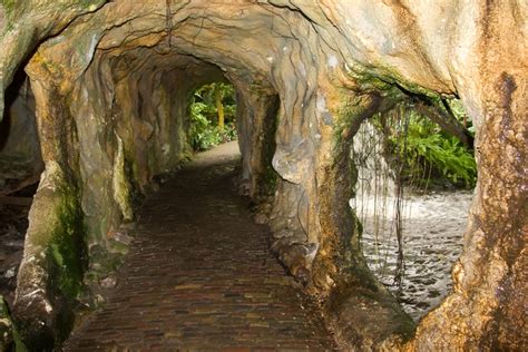 Google Image Result for http://www.deviantart.com/download/99595946/Cave_behind | Waterfall ...