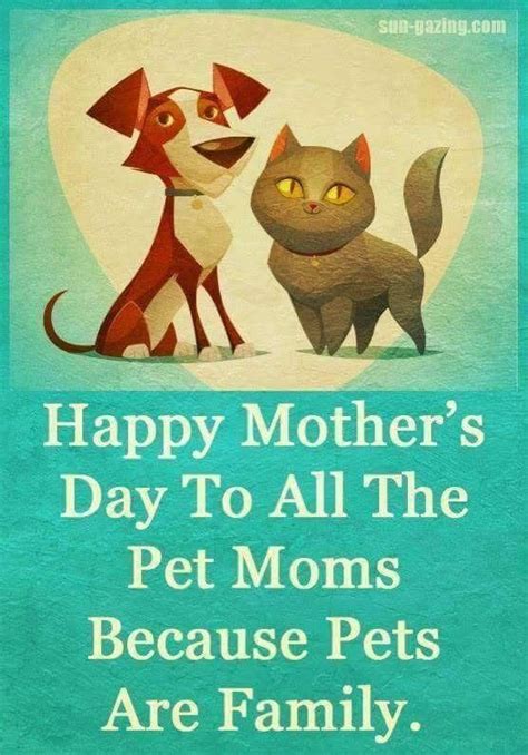 Pin by alex on mother's day | Happy dog mothers day, Dog mothers day, Pet mom