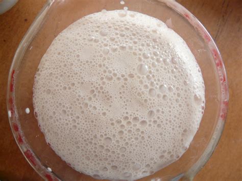 Proofing Yeast | also called a yeast sponge | Emily | Flickr