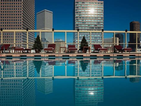 Rooftop Hotel Pools With Amazing Views | Hotel pool, Denver hotels, Hotel