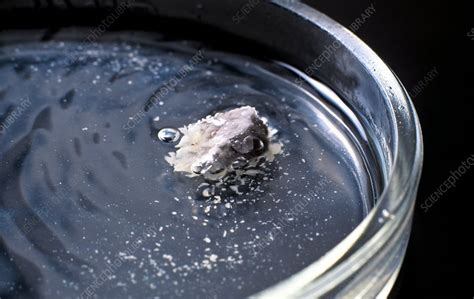 Sodium-ethanol reaction - Stock Image - C011/4533 - Science Photo Library