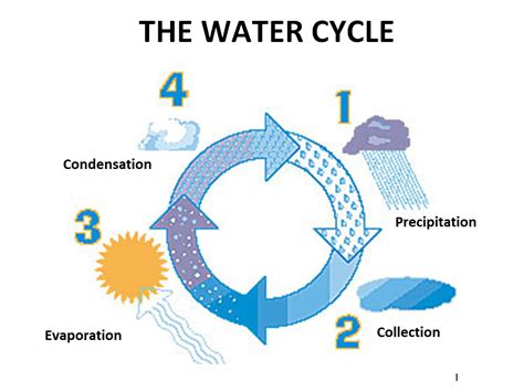 [DIAGRAM] Diagrams Of The Water Cycle - MYDIAGRAM.ONLINE