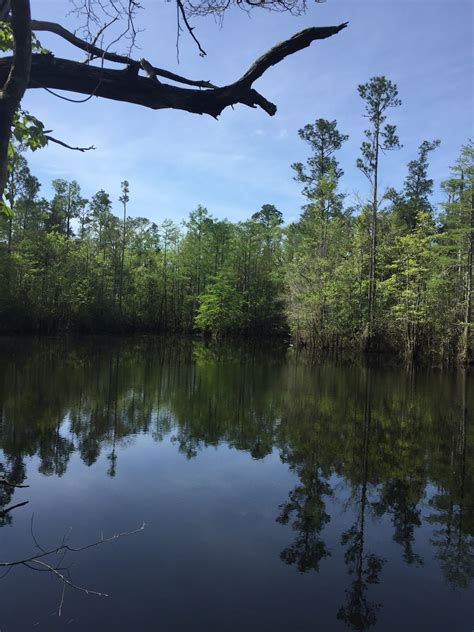 Blackwater River State Park, Florida