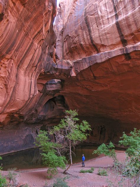 Escalante River Trip