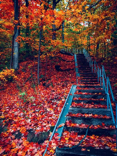 🇨🇦 Colourful stairs (Toronto, Ontario) by Erase & Rewind 🍂cr. | Autumn ...