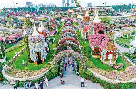 Dubai Miracle Garden opens its doors on November 7