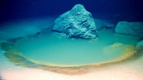 Rare deep-sea brine pools discovered in Red Sea » TrueViralNews