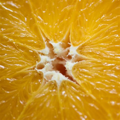 Free Photo | Closeup of fresh orange slice