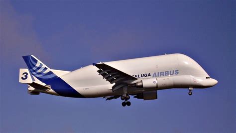 Beluga - Airbus A300-600ST Foto & Bild | luftfahrt, passagiermaschinen, verkehr & fahrzeuge ...