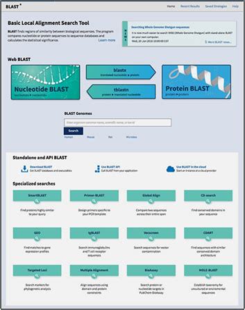 BLAST Algorithm: Nothing Can Beat It (NCBI) - Biomall Blog