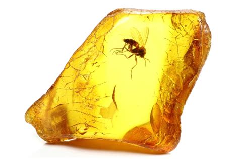 Amber: Meanings, Properties and Powers - The Complete Guide