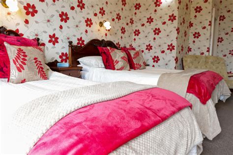 Twin B&B Rooms Edinburgh | Bed and Breakfast | Gifford House