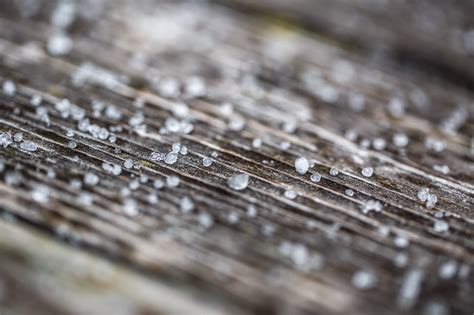 MK Photography: Sleet...up close!