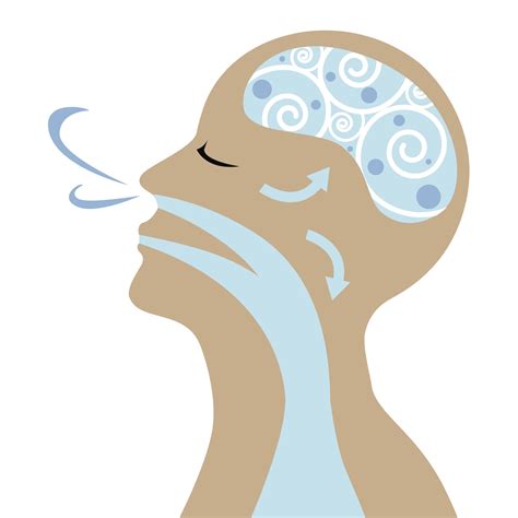 The Vital Crosstalk Between Breath And Brain | Discover Magazine