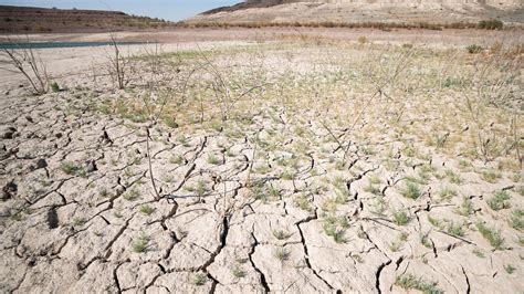 Climate change: US projections on drought-hit Colorado River which serves 40 million people grow ...