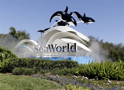 SeaWorld: Beluga rescued off Alaska thrives at theme park