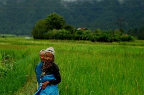 Ziro Music Festival – Arunachal Pradesh 1 – The Northeast India Travel Blog