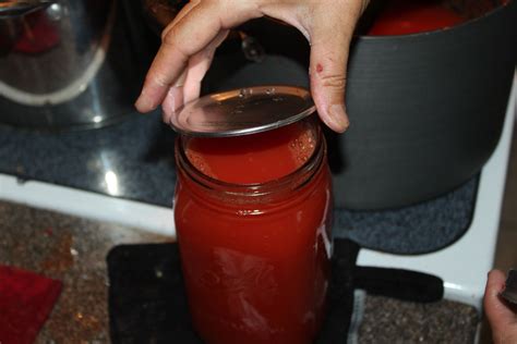 Making Fresh Tomato Juice - A simple, straightforward canning recipe to turn your garden ...