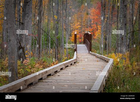 The hiking trails into the Saint Peters Dome recreational area in the ...