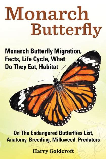 Monarch Butterfly, Monarch Butterfly Migration, Facts, Life Cycle, What ...