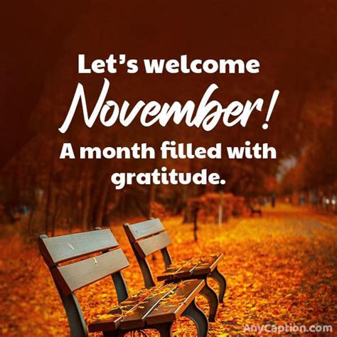 75 November Captions For Instagram and Facebook – AnyCaption