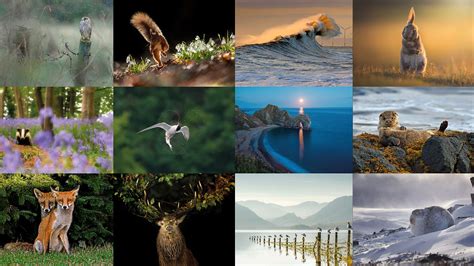 Countryfile Calendar 2023 By Post – Get Calendar 2023 Update