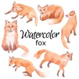 Forest Animals Watercolor Art Teaching Resources | TPT