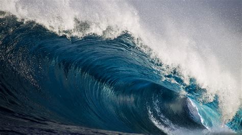 A novel cosmic ray sensor can successfully observe tsunami waves