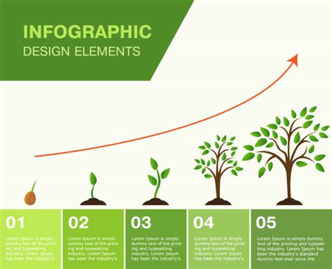 63,300+ Tree Growth Stages Stock Photos, Pictures & Royalty-Free Images - iStock