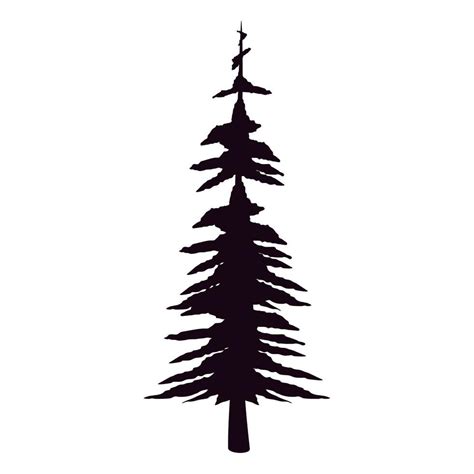 pine tree forest 12592844 Vector Art at Vecteezy