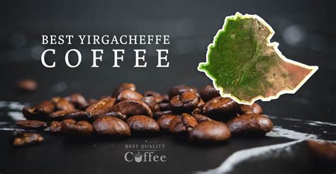 The Best Yirgacheffe Coffee of 2024 - Ethiopian Coffee at its Finest - Best Quality Coffee