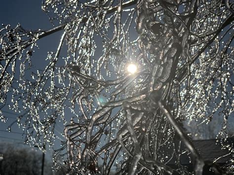 Effects of our Ice storm the week before Xmas : r/pics