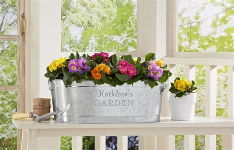 galvanized steel beverage tub with potted flower plants on… | Flickr