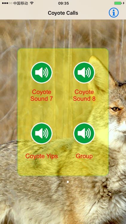 Coyote Hunting Calls & Sounds - Real Coyote Calls by Jing Ren