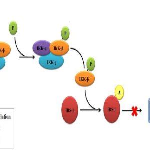 Two dimensional structure (a) Chlorpropamide (b) Nateglinide ...