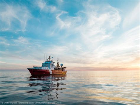 Deep-sea expedition uncovers never-before-seen habitats and specimens in the Canadian Pacific ...