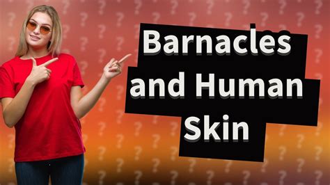 What do barnacles do to human skin? - YouTube