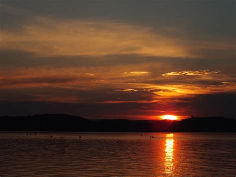 Lake Balaton Sunset Tihany - Free photo on Pixabay - Pixabay