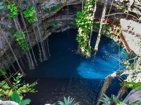 15 Best Playa del Carmen Cenote Tours in 2024