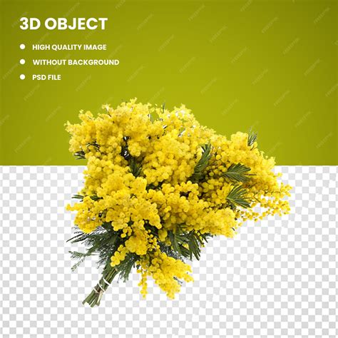 Premium PSD | Mimosa Flower bouquet