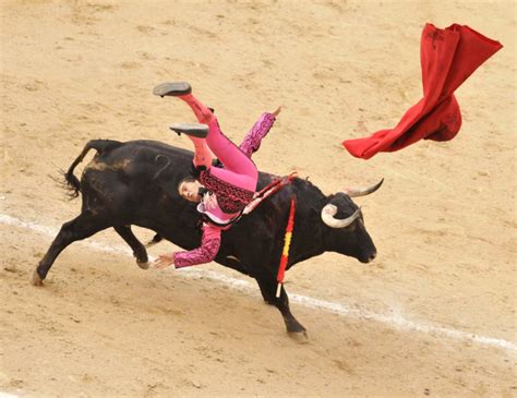 New Rules End Cruel Bullfighting on Spanish Islands