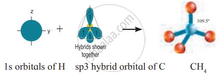 Explain geometry of methane molecule on the basis of Hybridization. - Chemistry | Shaalaa.com